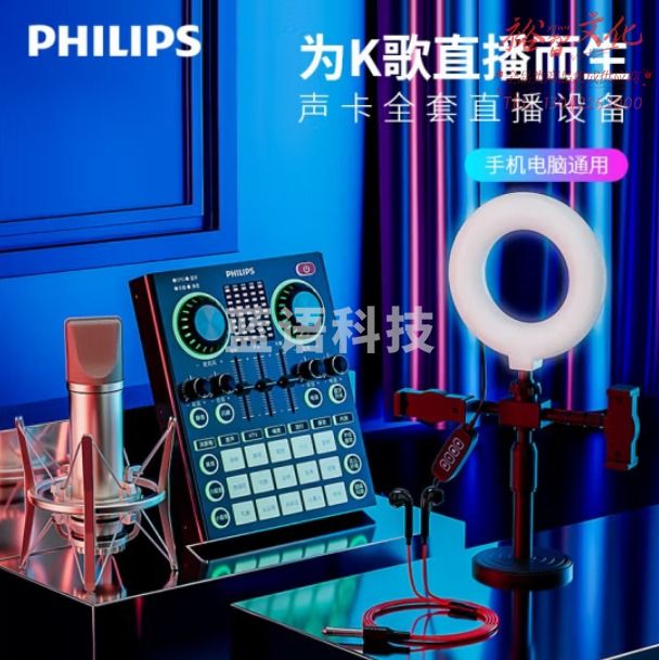 飞利浦（PHILIPS）DLM3008U声卡套装