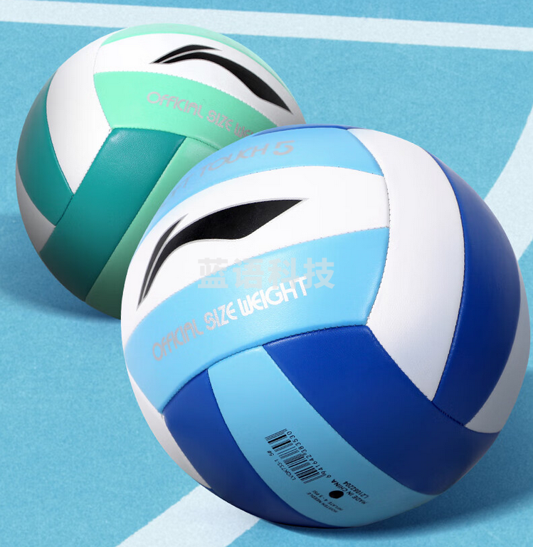 李宁排球【中考训练】比赛专用标准初中生成人儿童训练沙滩硬排5号球