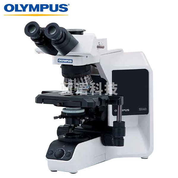 奥林巴斯 三目倒置体式生物显微镜专业临床研究双目 BX43三目