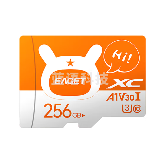 忆捷（EAGET）256GB TF（MicroSD）存储卡 A1 U3 V30 C10 行车记录仪&安防监控内存卡 升级耐用