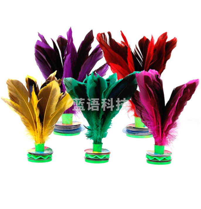 鸭毛毽子小学生儿童毽球大号彩色羽毛毽子耐踢牛筋底5只装