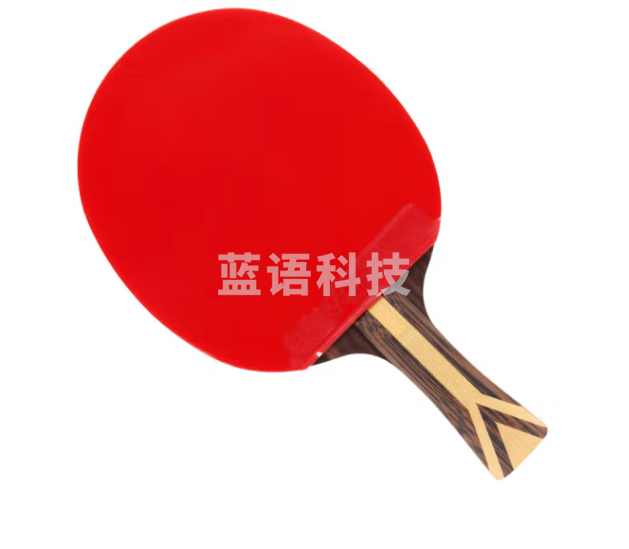 红双喜DHS狂飚九星乒乓球拍横拍专业比赛黑檀芳碳攻防H9002