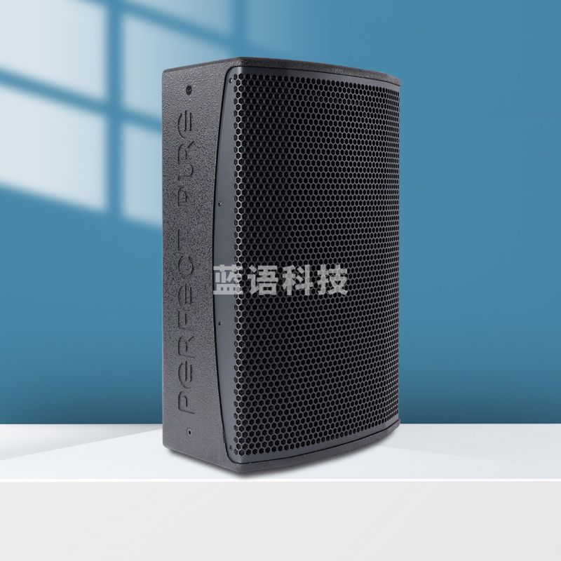 完美本色(Perfect Pure)C12专业12吋全频音箱会议室剧院展览馆扩声补声舞台音响 单只