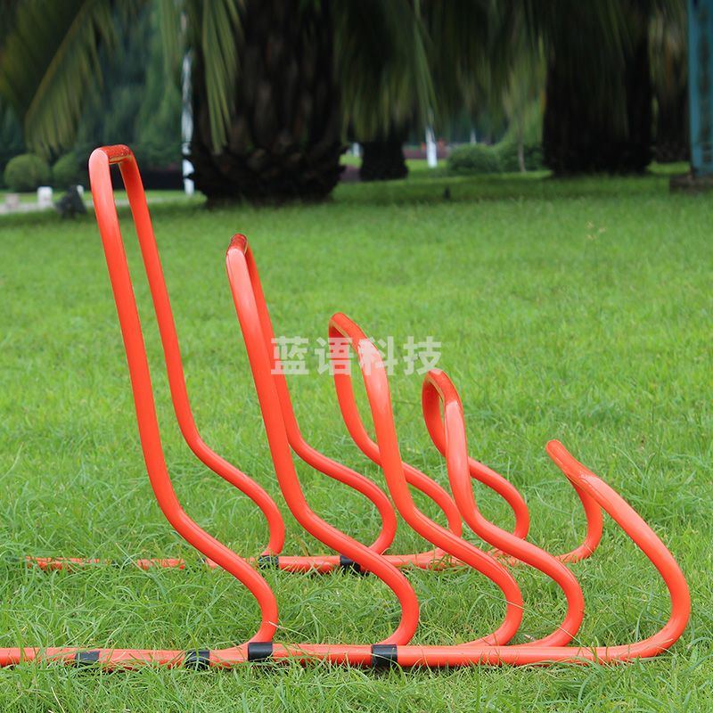 小跨栏(30cm高) 单位：个