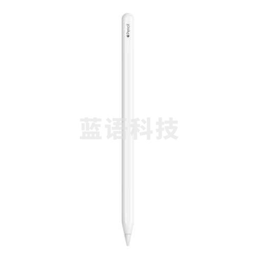 Apple Pencil(第一代)含USB-C转换器[适用iPad mini5/iPad Air3/iPad10.2英寸