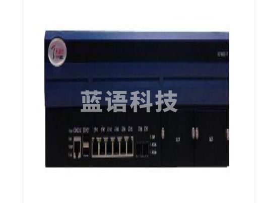 天融信 千兆防火墙(不含纯软件防火墙) NG-5808-BJ