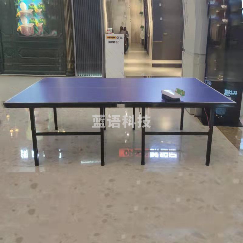 益动未来 室内乒乓球台 YD-pt01