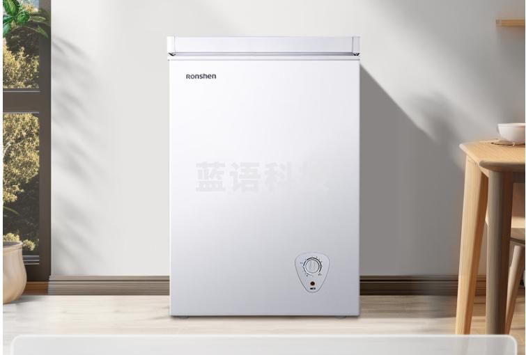 容声（Ronshen） 100升小型冰柜减霜家用冷藏冷冻转换卧式冷柜一级能效顶开门母乳存放小冰箱BD/BC-100MB
