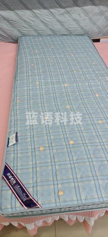 单人床垫 0.9米单人 花色随机