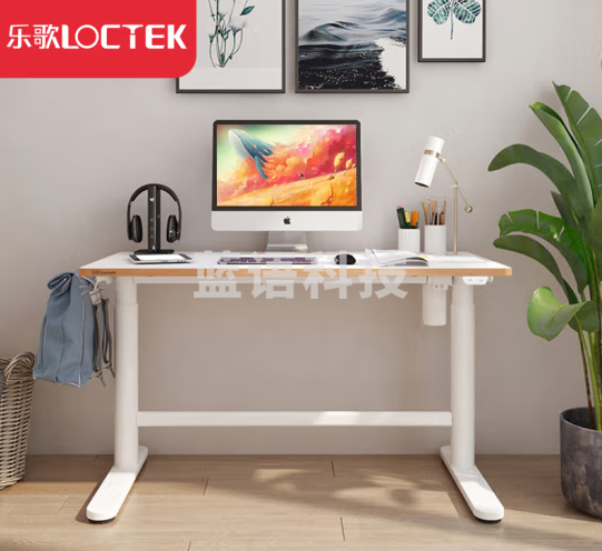 乐歌电动升降儿童学习桌书桌幼儿园中小学生写字桌 EC1恬静白1.2m单桌