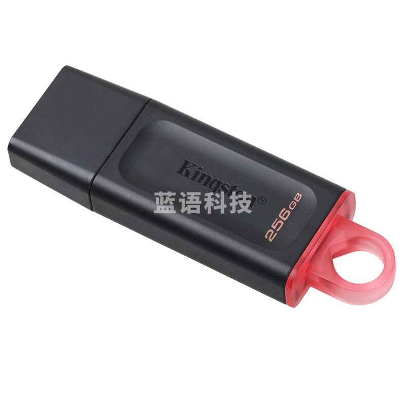 金士顿（Kingston）DTX/256GB USB3.2 Gen 1 U盘