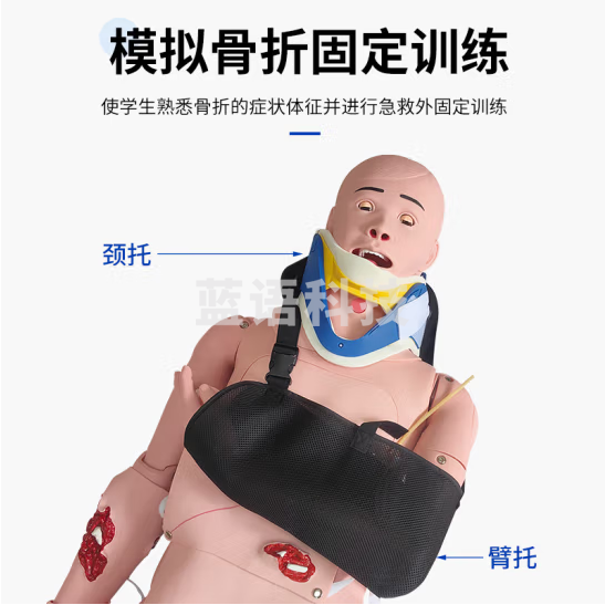 蓝蝶 闭合式四肢骨折固定训练模型 带颈托创伤/脊柱损伤搬运临床护理人
