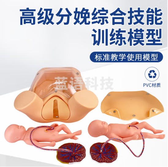 蓝蝶 高级分娩综合技能训练模型 分娩助产示教模型 分娩机制示教模型 高级综合分娩模型