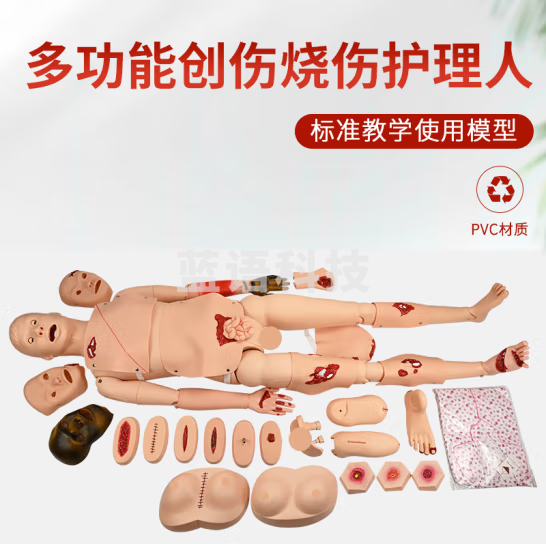 蓝蝶 全功能烧伤创伤护理人模型止血急救包扎训练骨折培训操作假人 全功能创伤护理人