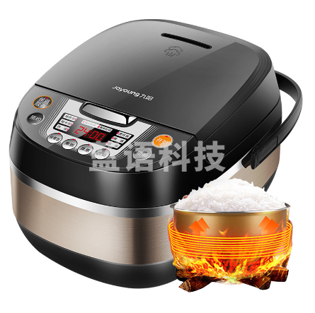 九阳 JYF-30FE09-G 电饭煲 3L 黑色