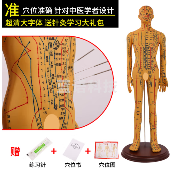 蓝蝶 人体针灸模型经络穴位中医全身十二铜人扎针练习小皮人 52CM铜男软模（可扎针）大字体