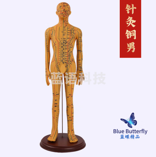 蓝蝶 人体针灸模型经络穴位中医全身十二铜人扎针练习小皮人 62CM铜色男款-硬胶-高清大字体
