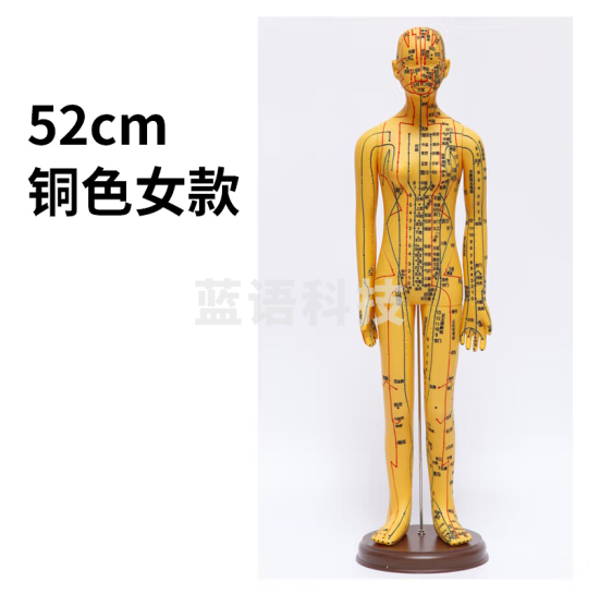 蓝蝶 人体针灸模型经络穴位中医全身十二铜人扎针练习小皮人 52CM铜女硬模超清（手可转）