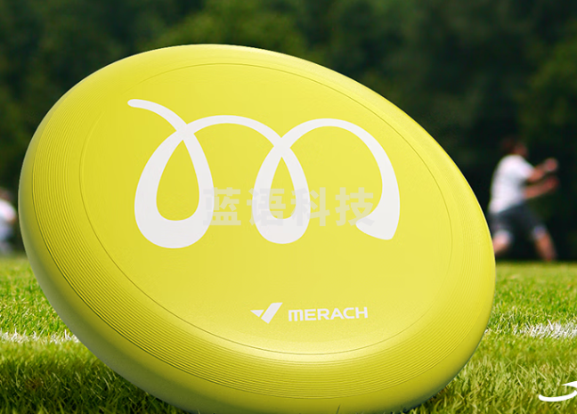 竞技比赛专业回旋飞盘