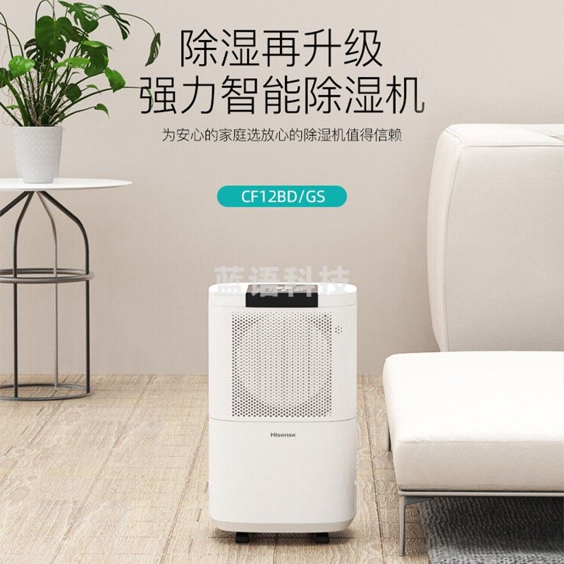 海信(Hisense) 除湿机抽湿机除湿器12升 适用20-60平米家用轻音除湿器抽湿器负离子净化 大屏触控 CF12BD/GS