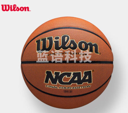 威尔逊/WERWILSON 篮球 7号