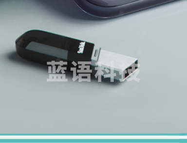 闪迪(SanDisk)128GB Lightning USB3.0 苹果U盘 iXpand欣享豆蔻 黑色 读速90MB/s 苹果MFI认证 手机电脑两用