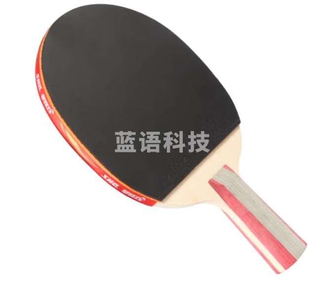红双喜(DHS)H1006 一星乒乓球拍直拍 单拍