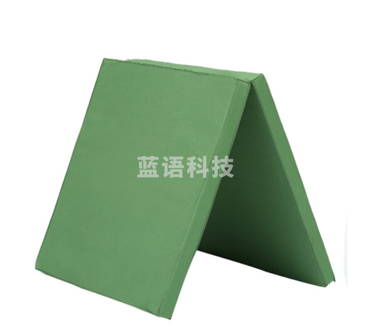 WLD一7037 体操垫 2块一组 120*60*10