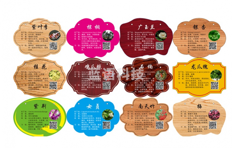 树牌 树木标示牌 指示牌 树木牌装饰挂牌植物标识牌悬挂广告牌