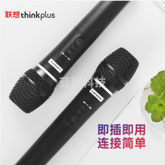 联想ThinkPlus 电视麦克风 全民点歌K歌专用 家庭KTV无线双话筒家庭影院唱歌设备套装 BK10家庭版