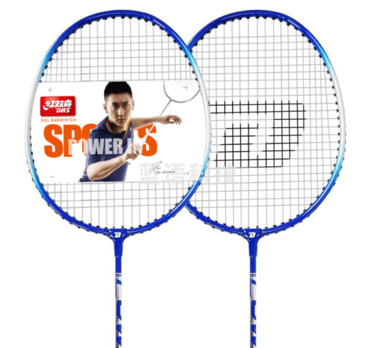 红双喜(DHS)羽毛球拍对拍2支装耐打训练 209天极蓝