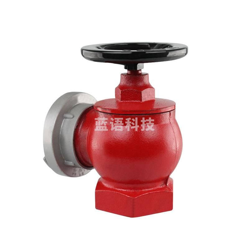 东消 SN50室内消火栓 消防水带阀门 SN50消防水龙头2寸消防栓 室内消防栓