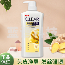 清扬(CLEAR)去屑洗发水 生姜强韧蓬松姜根精粹500g