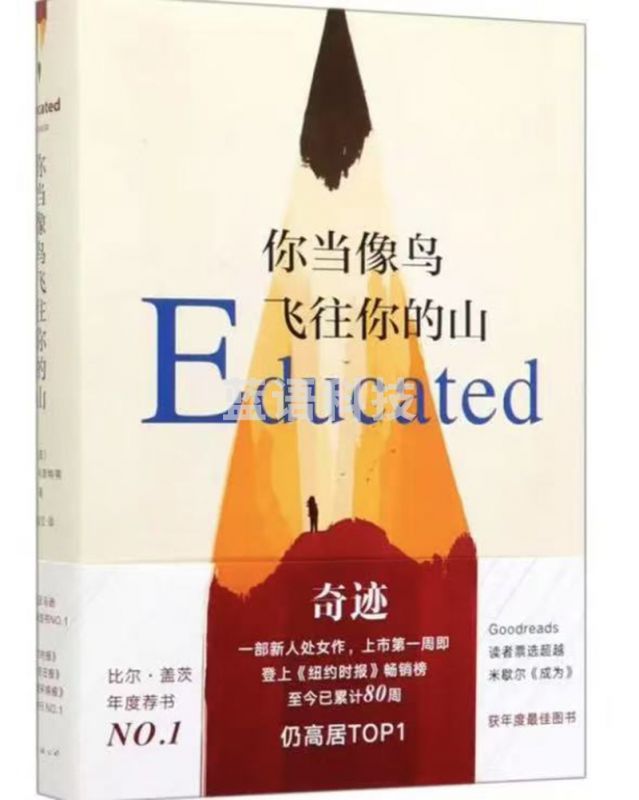 你当像鸟飞往你的山