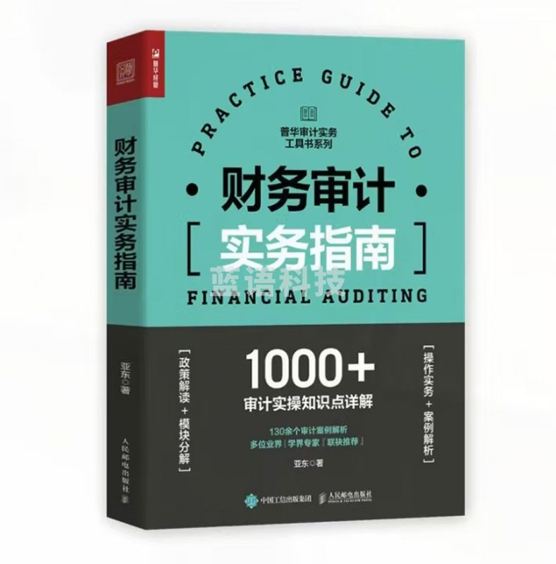 财务审计实务指南