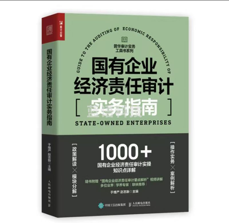 国有企业经济责任审计实务指南