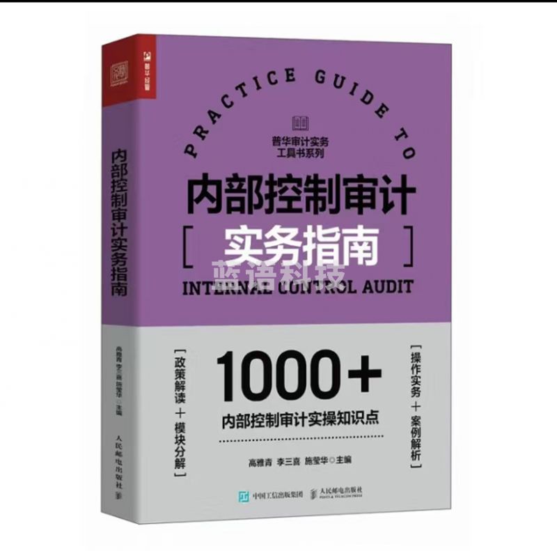 内部控制审计实务指南