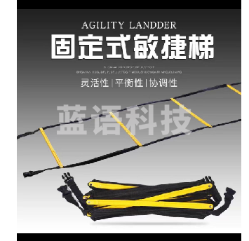 10格  训练敏捷梯