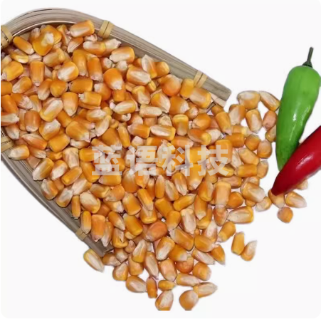 玉米饲料  25Kg/袋  货号：TXH