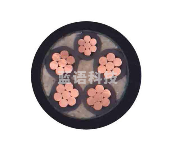 津达线缆 国标YJV3+2芯电力电缆 硬线 电线 电缆 1M 津达线缆 YJV3*150+2*70