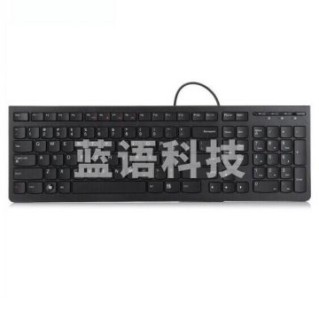 联想（lenovo）键盘 有线键盘 办公键盘 巧克力键盘 电脑键盘 笔记本键盘 K5819单键盘 黑色 PJ.838