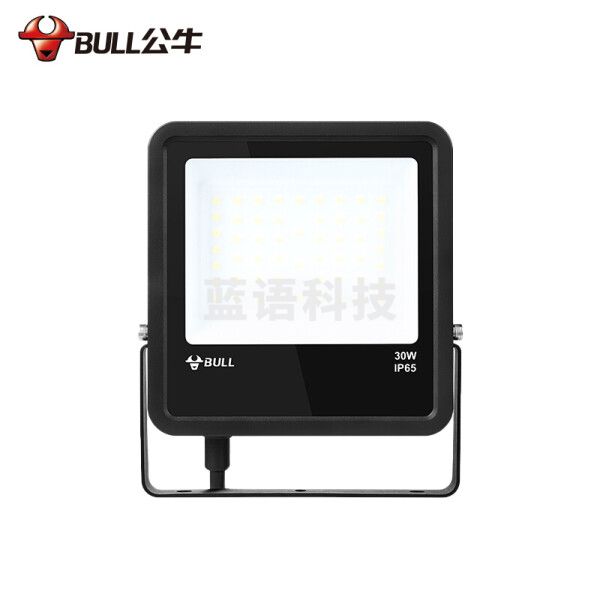 公牛 LED投光灯 户外庭院工地园林照明灯 IP65防水室外灯大功率高亮度30W-6500K白光 一个价