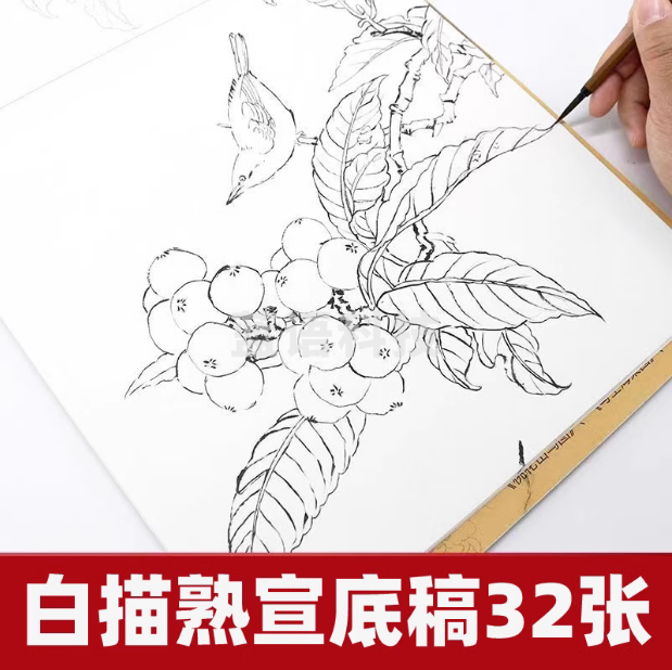 工笔画底稿白描花鸟 综合款底稿32张   货号：JC