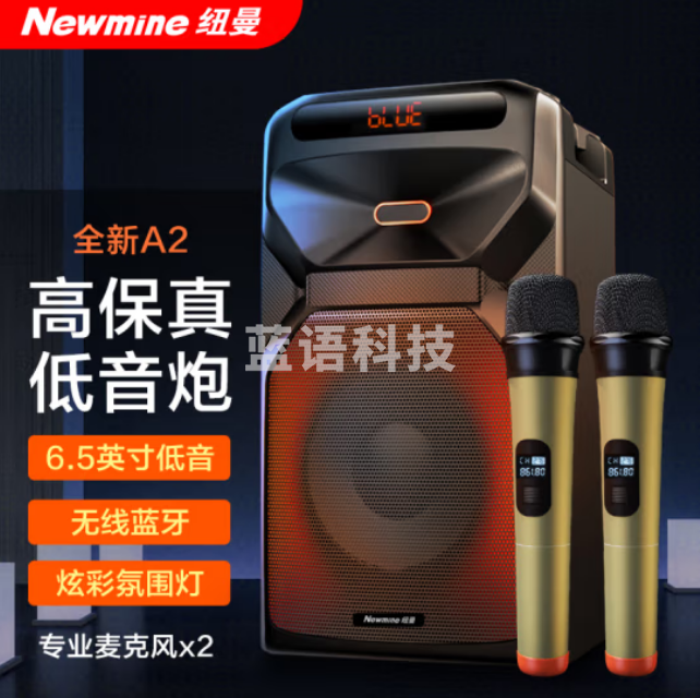 纽曼（Newmine）A2蓝牙音箱音响 低音炮大功率6.5英寸喇叭 带双无线话筒