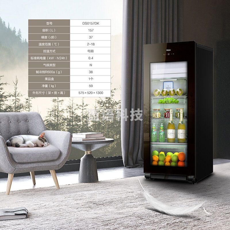 海尔（Haier）DS0157DK 157升智能双温可制冰家用客厅办公室冰吧