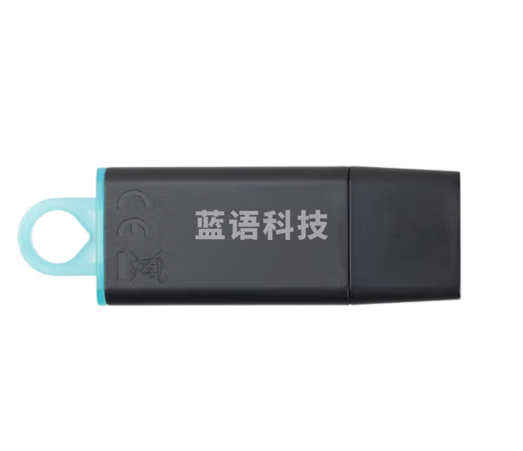 金士顿(Kingston)256GB USB3.2 Gen 1 U盘 DTX 时尚设计