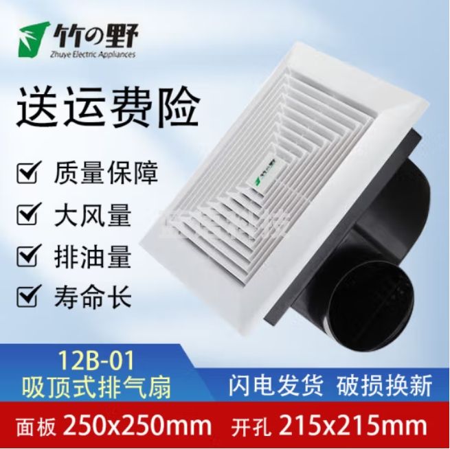 竹野 换气扇排气扇吸顶式排风扇 8寸 BP12-1DF网格面板