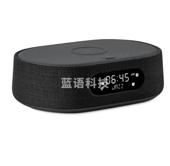 哈曼卡顿 (Harman Kardon) CITATION OASIS FM 音乐绿洲 人工智能音箱 带收音机和无线充电 支持Wi-Fi 黑色