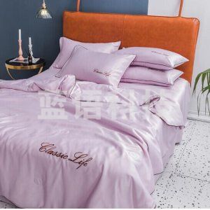 南极人 水洗冰丝夏凉被 空调被 家用丝滑柔软被芯 淡紫 150*200cm 单夏被