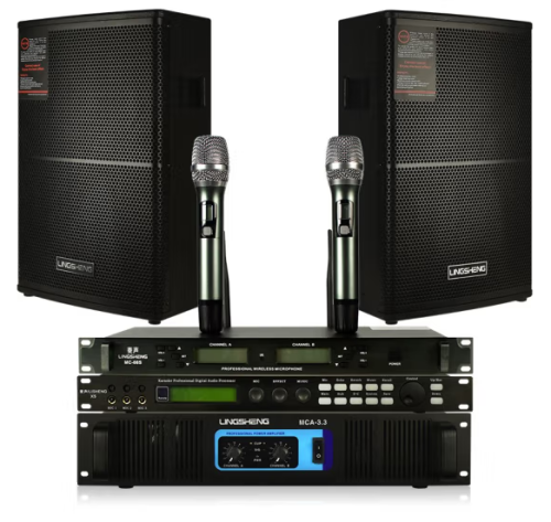 菱声(LINGSHENG)会议室音响套装组合专业会议音响壁挂音箱婚庆舞台音响培训教室音响设备 80-100平专业会议音响套装A